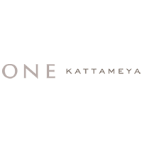 One Kattameya